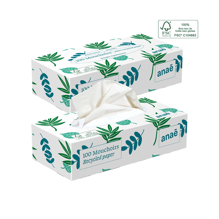 Boîte 100 mouchoirs non-irritants fibres recyclées Boîte 100 mouchoirs non-irritants fibres recyclées