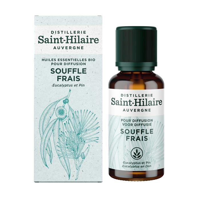 Complex van EO voor diffusor - Koele Wind* Bio 30 ml Complex van EO voor diffusor - Koele Wind* Bio 30 ml