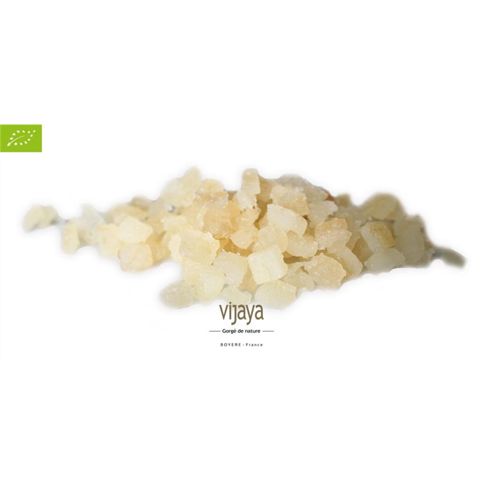 Ecorce de Citron Confite-Cubes-ITALIE-10 kg-4x4 mm-Bio* 10 kg Ecorce de Citron Confite-Cubes-ITALIE-10 kg-4x4 mm-Bio* 10 kg