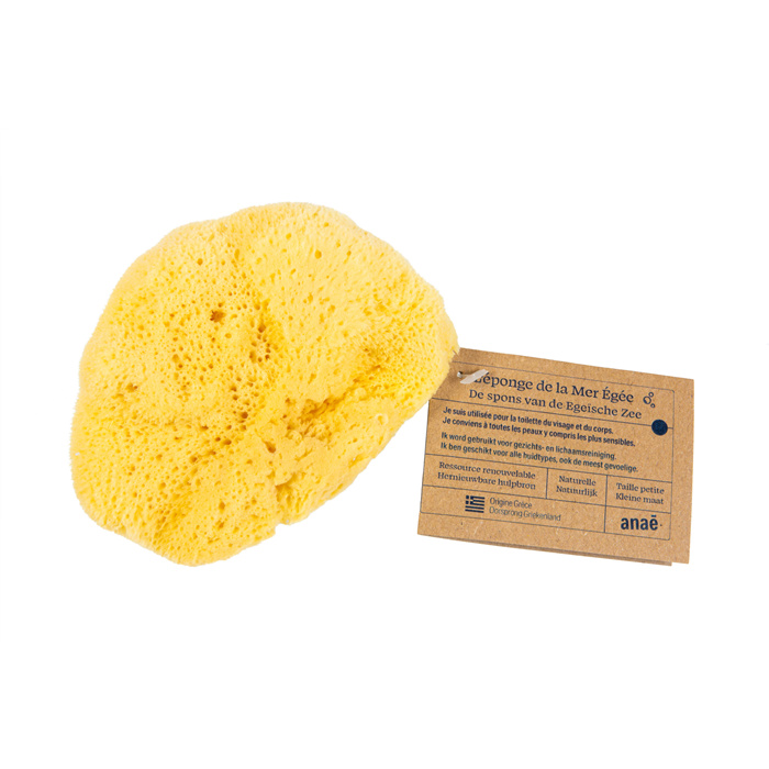 Eponge naturelle petite 1 p. Eponge naturelle petite 1 p.